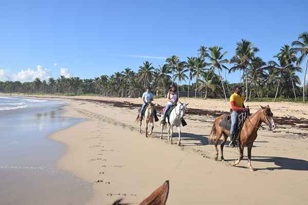 horseback riding